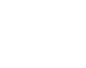 terra-logo-white